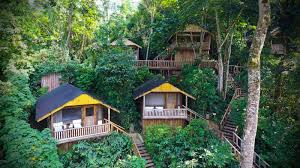 Accommodations in Bwindi Impenetrable National Park