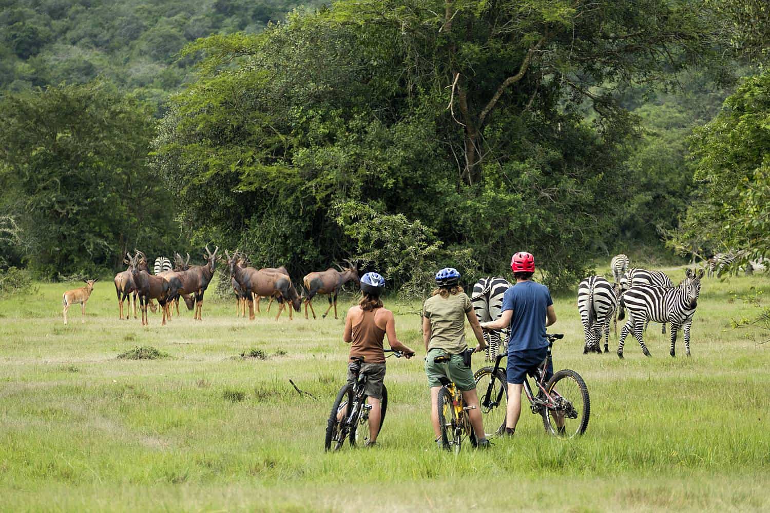 cycling safaris in Lake Mburo