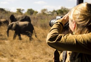 3-Day Queen Elizabeth Wildlife Safari