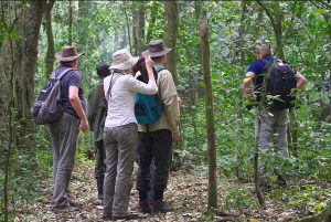 14-Day Comprehensive Uganda Explorer