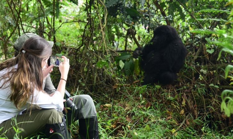 6 Days Uganda Gorilla and Wildlife Safari 