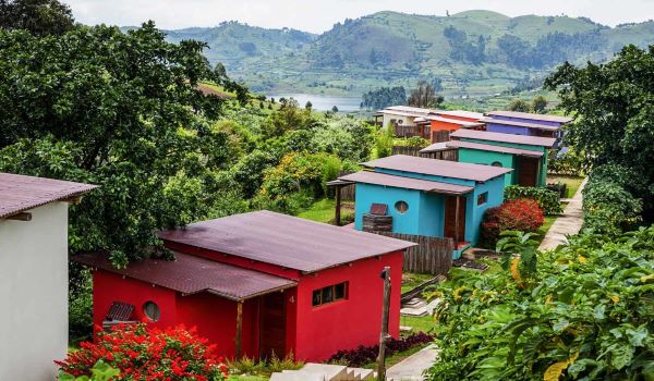 Bwindi Backpackers Lodge