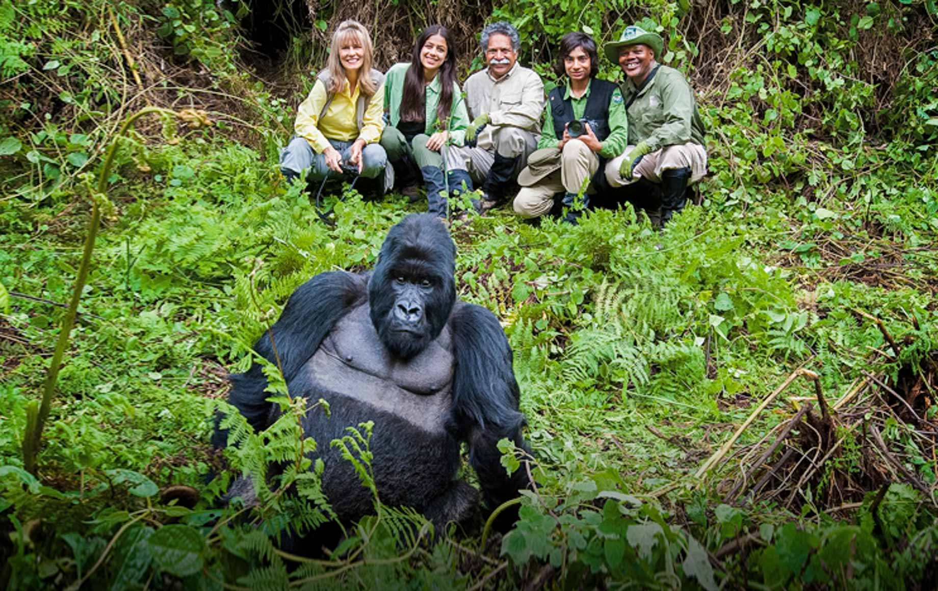 budget gorilla safari packages
