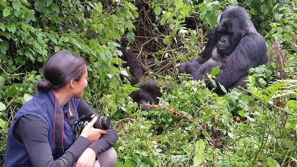 Common Gorilla Trekking Mistakes
