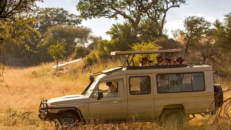 Uganda vs Rwanda Safari