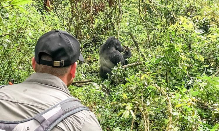 which company offers the best uganda safaris