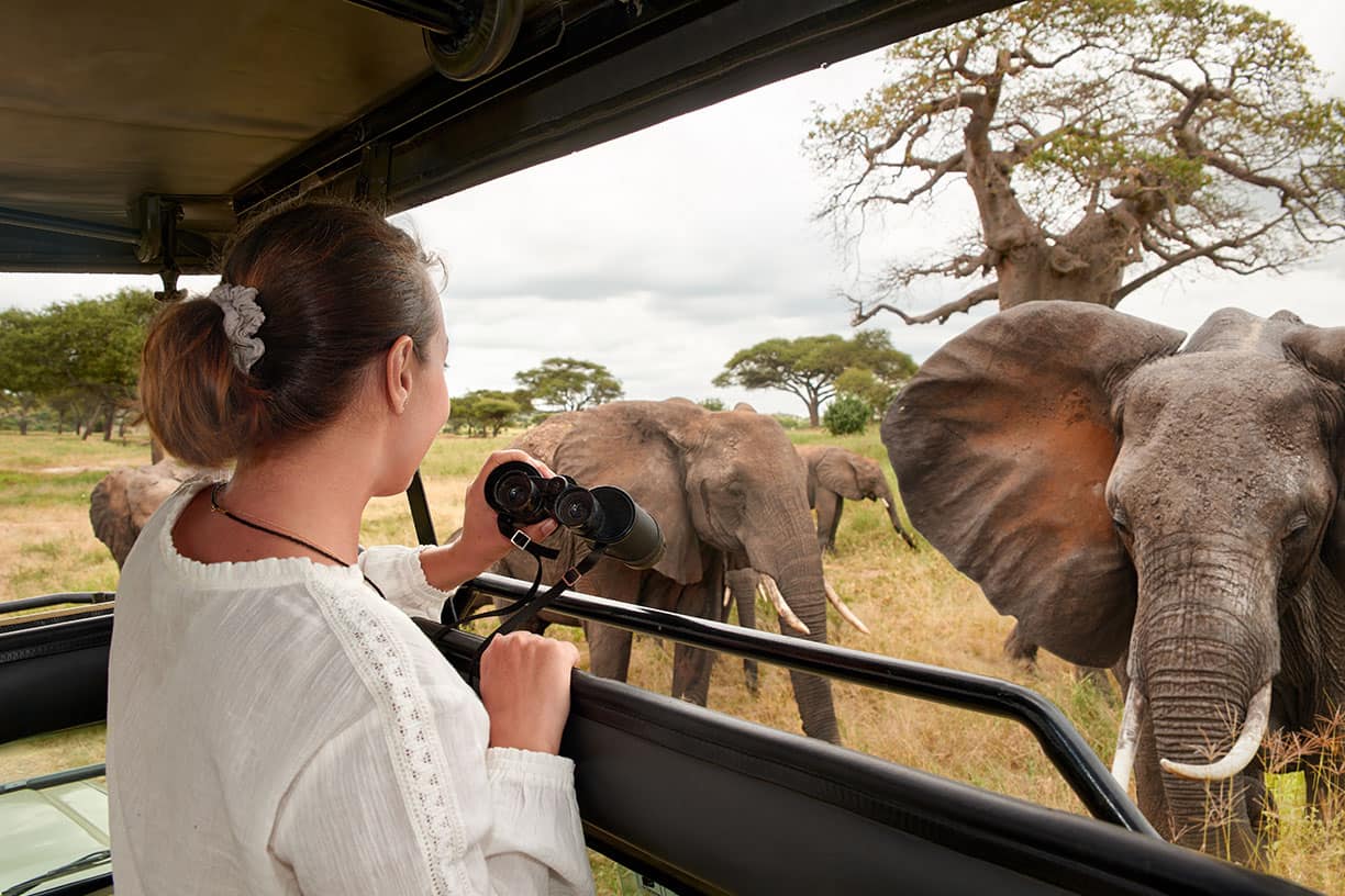 weight of elephant in kg