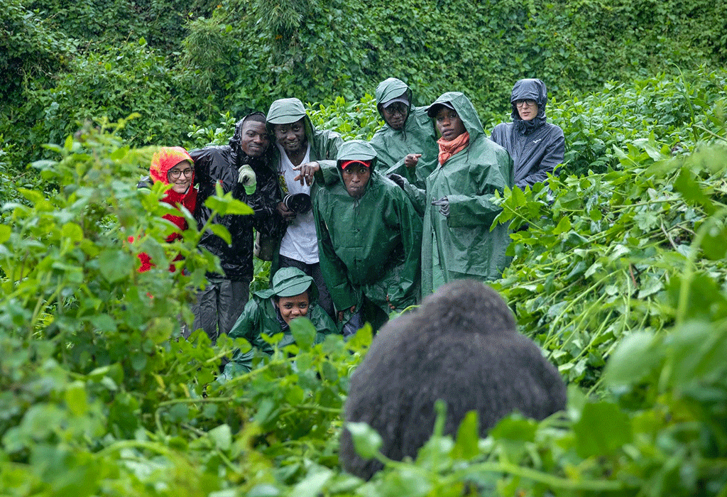 Rainy Season Gorilla Trekking